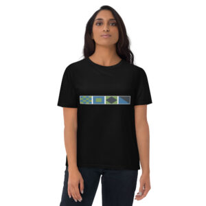 NPFO Signal Flags t-shirt