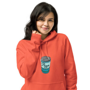 Puget Pop! raglan hoodie